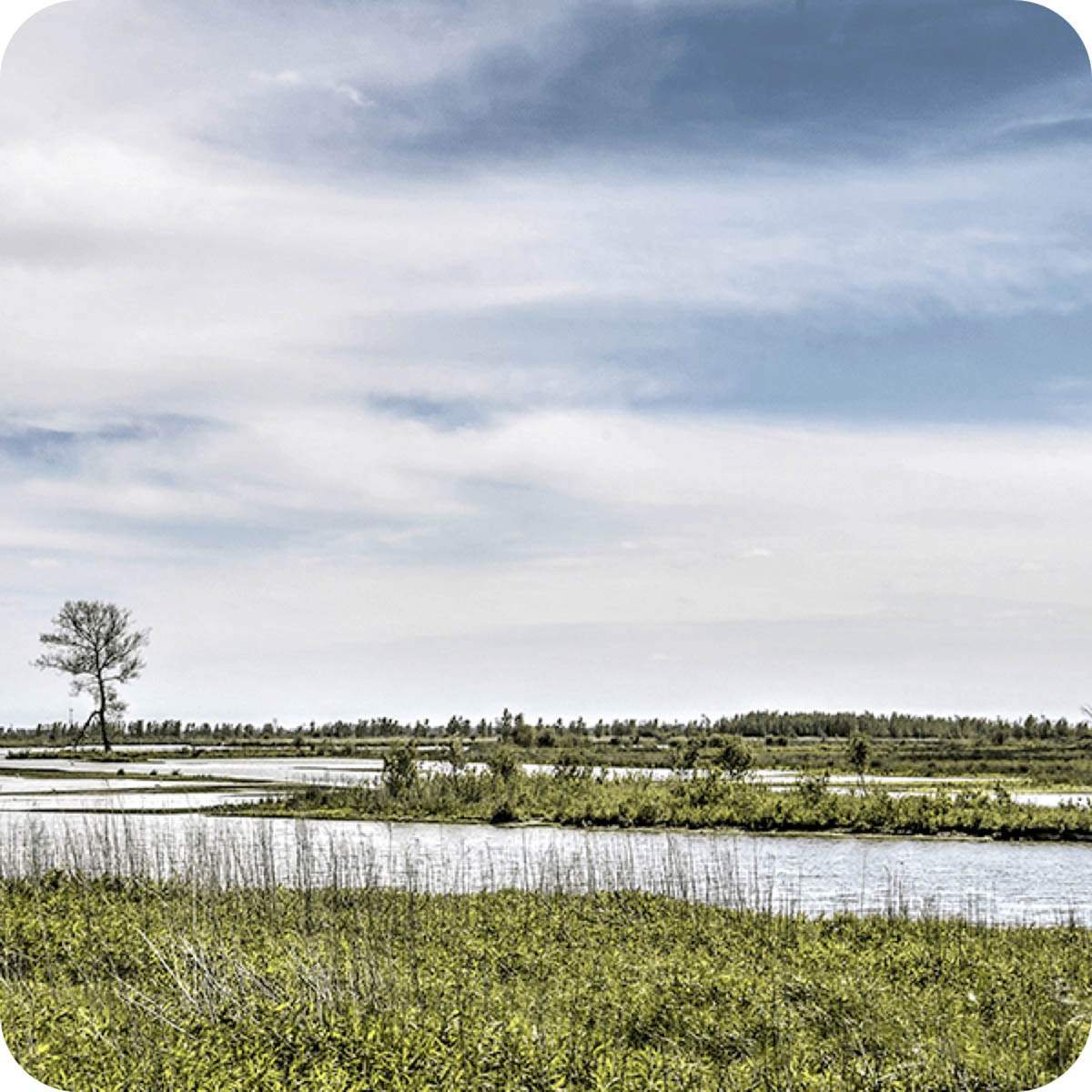 tiengemeten